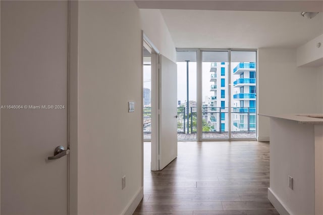 corridor with floor to ceiling windows and dark hardwood / wood-style floors