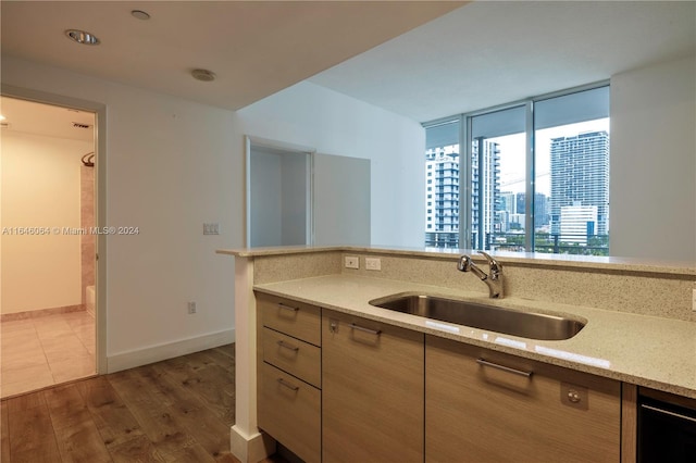 kitchen featuring light stone counters, dark hardwood / wood-style floors, and sink