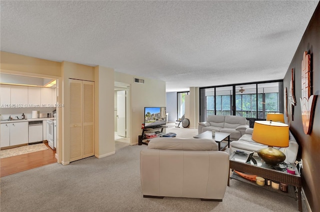 carpeted living room featuring a textured ceiling