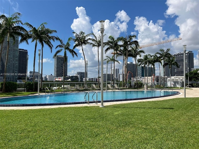 view of swimming pool featuring a lawn