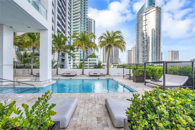 view of pool with a patio area