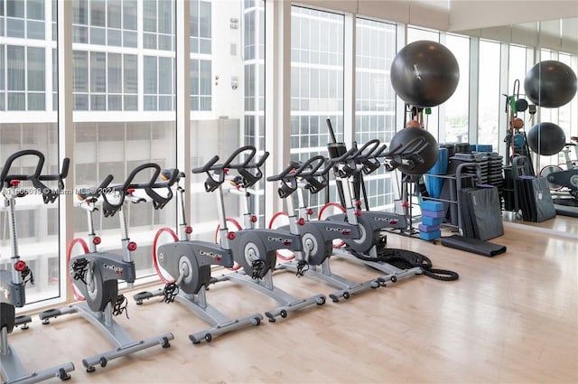 gym featuring wood-type flooring