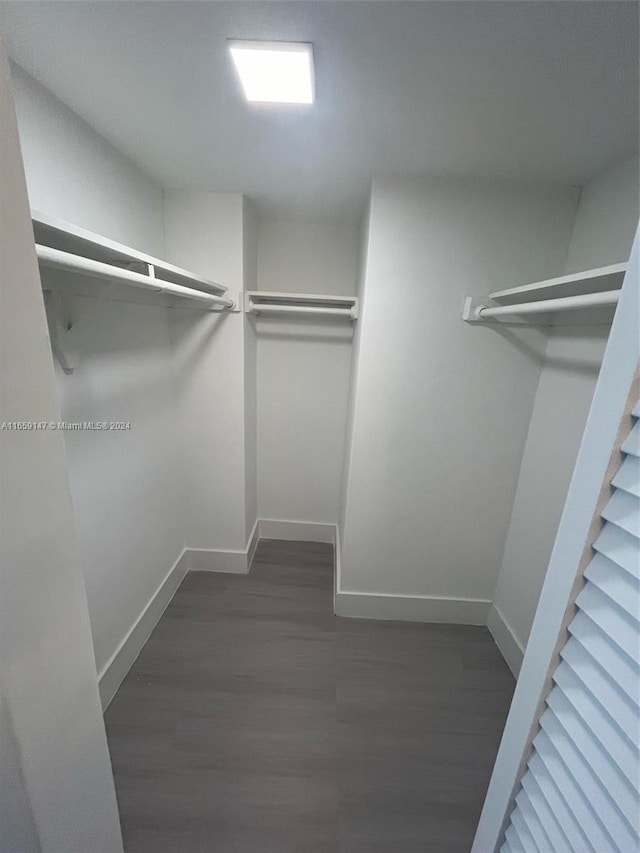 walk in closet with dark hardwood / wood-style floors