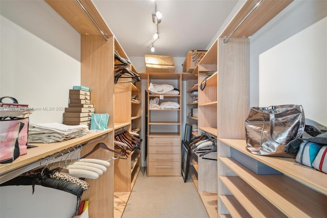 walk in closet with light carpet