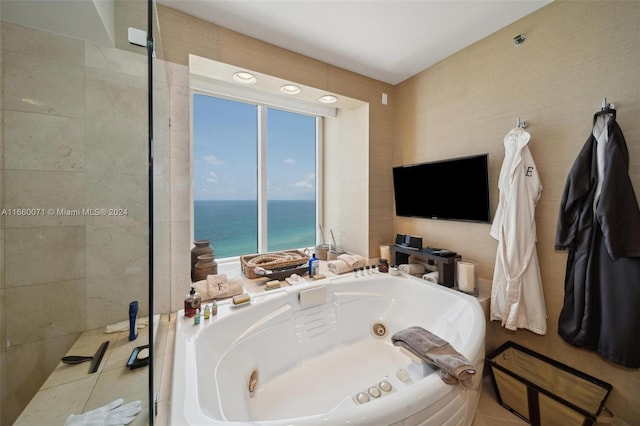 bathroom featuring a healthy amount of sunlight and a bathing tub