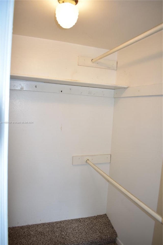 spacious closet with carpet floors