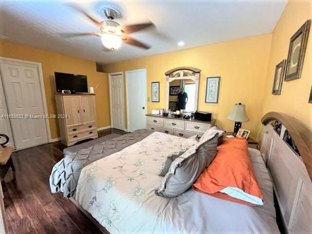 bedroom featuring ceiling fan and dark hardwood / wood-style floors