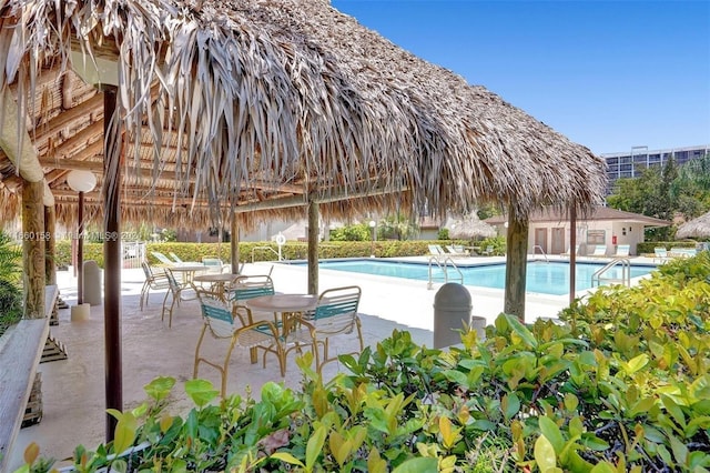 view of pool featuring a patio