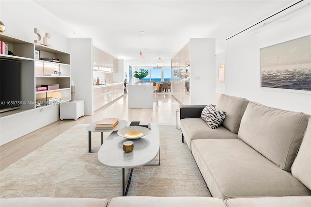 living room with light hardwood / wood-style flooring