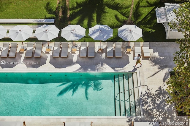 view of pool with a patio area