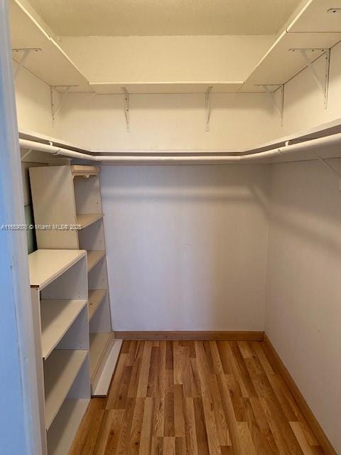 spacious closet featuring hardwood / wood-style flooring