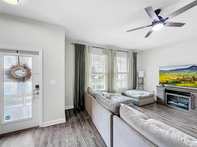 living room with ceiling fan, dark hardwood / wood-style flooring, and a fireplace