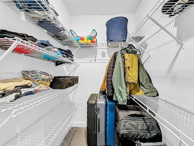 view of spacious closet