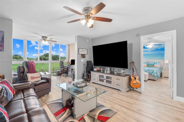 living room with expansive windows, light hardwood / wood-style floors, and a textured ceiling