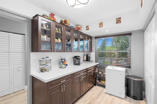 interior space with dark brown cabinets, light hardwood / wood-style flooring, and fridge