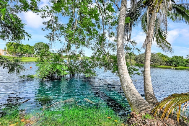 property view of water