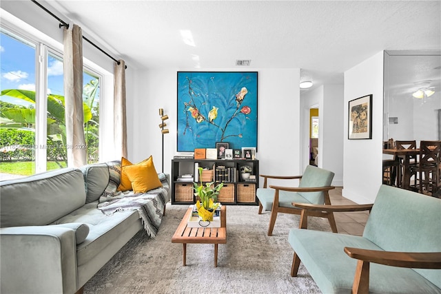 living room with a textured ceiling