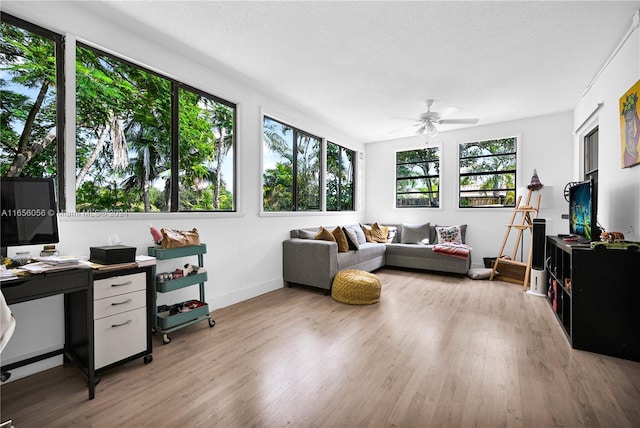 interior space featuring ceiling fan, a textured ceiling, and light wood-type flooring