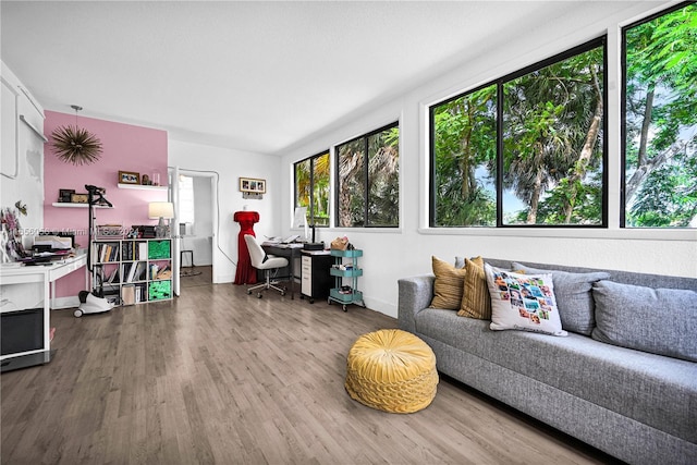 living room featuring wood-type flooring