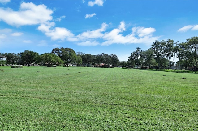 view of community with a yard