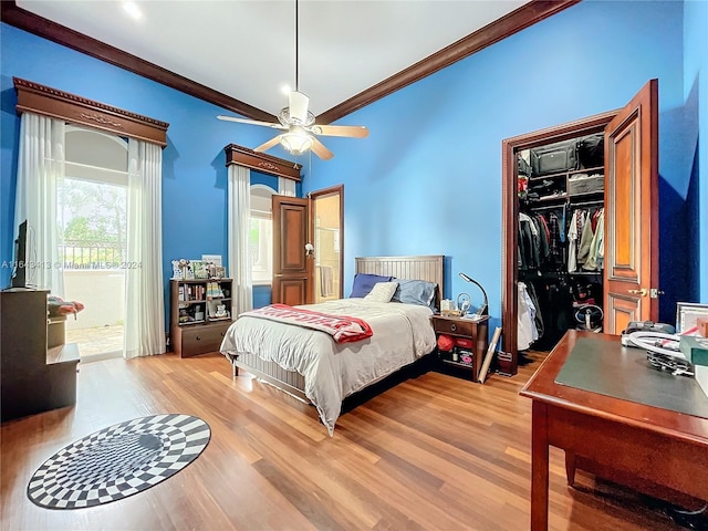 bedroom featuring a closet, ceiling fan, light hardwood / wood-style flooring, and crown molding