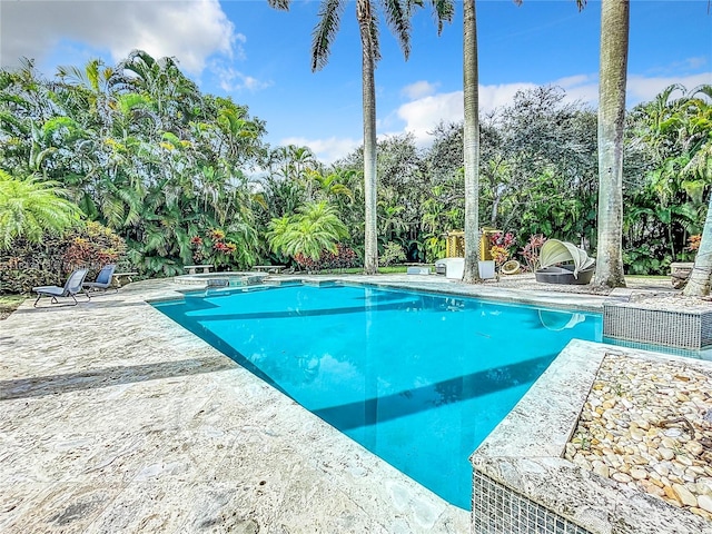 6710 SW 92nd St, Pinecrest, FL 33156 - outdoor pool with a patio and view of scattered trees