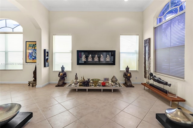 tiled living room featuring plenty of natural light and crown molding