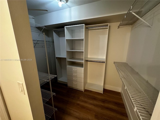 spacious closet featuring dark hardwood / wood-style flooring