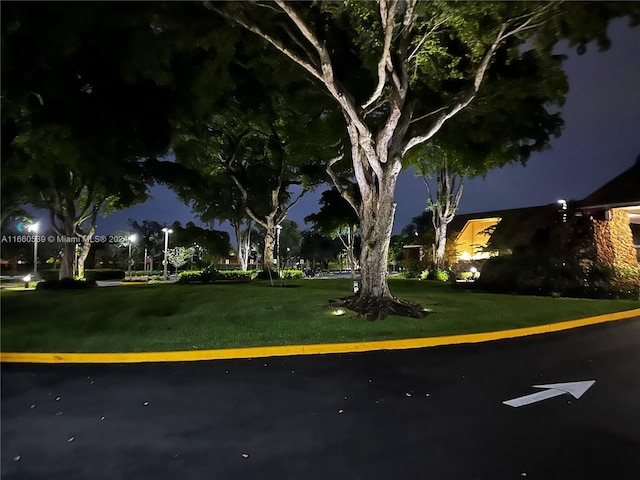 parking at night featuring a yard