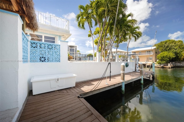 dock area with a water view