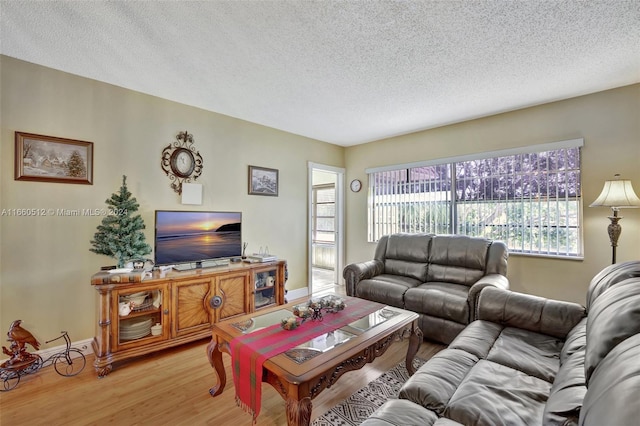 living room with a textured ceiling and light wood-type flooring