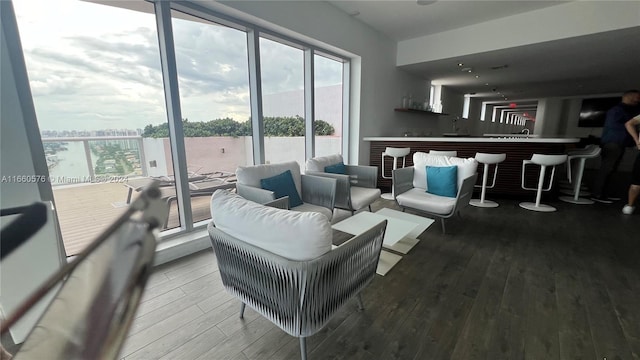 living room featuring wood-type flooring