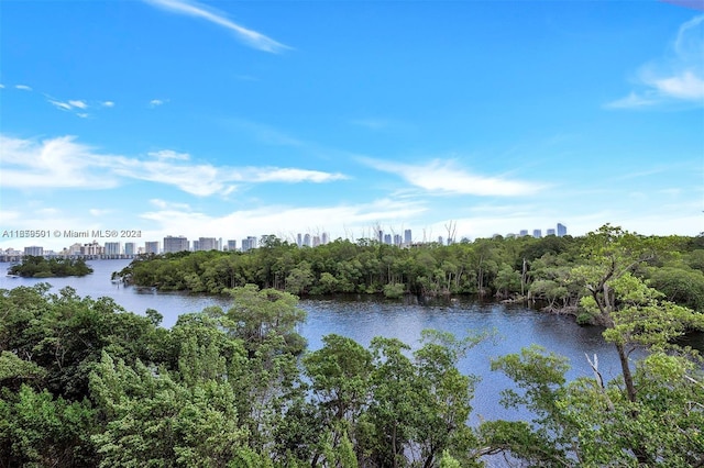 16385 Biscayne Blvd Unit 421, North Miami Beach, FL 33160 - water view featuring a view of skyline