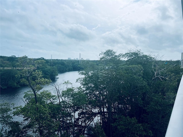 view of water feature