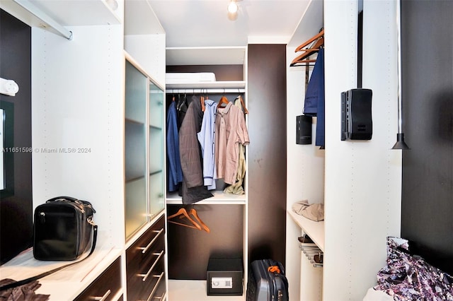 view of spacious closet