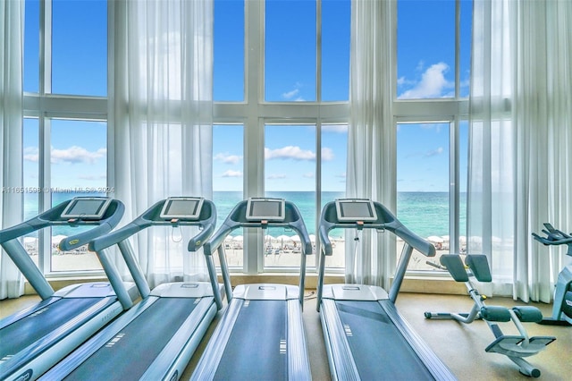 workout area featuring a water view and a healthy amount of sunlight