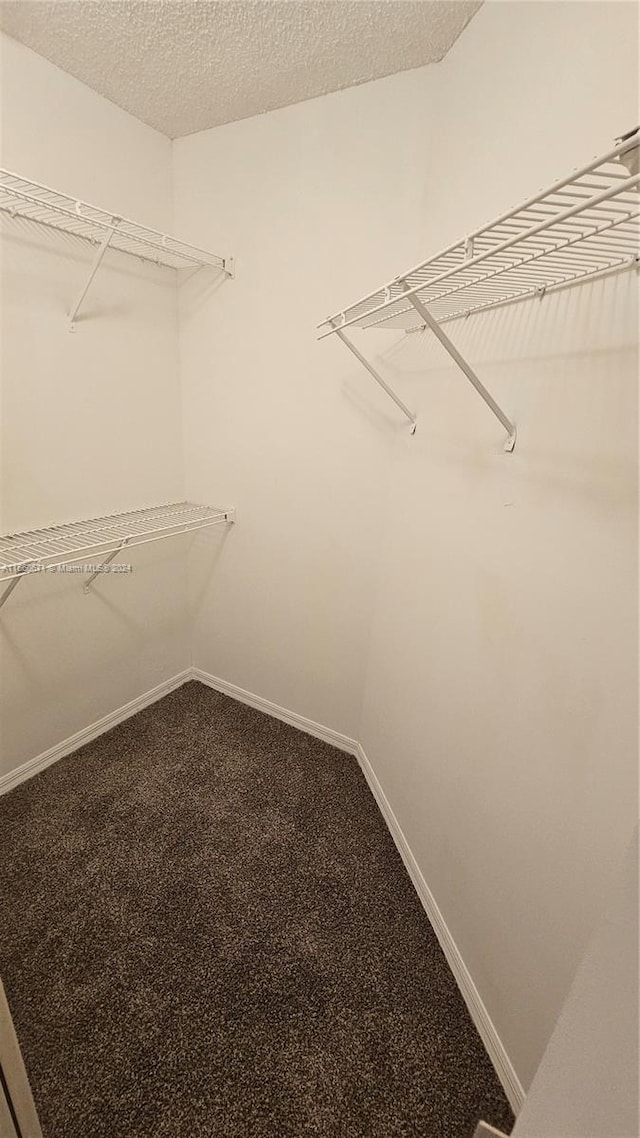 spacious closet with carpet floors