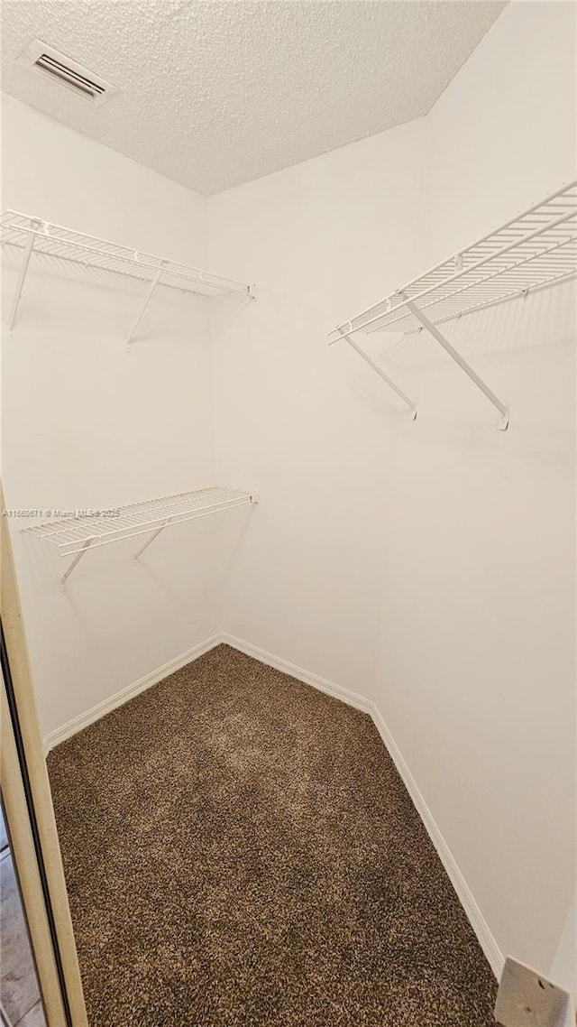 walk in closet with visible vents and carpet