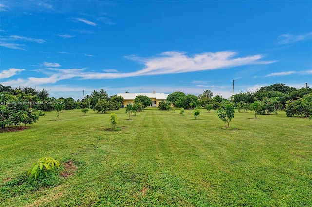 view of yard featuring a rural view