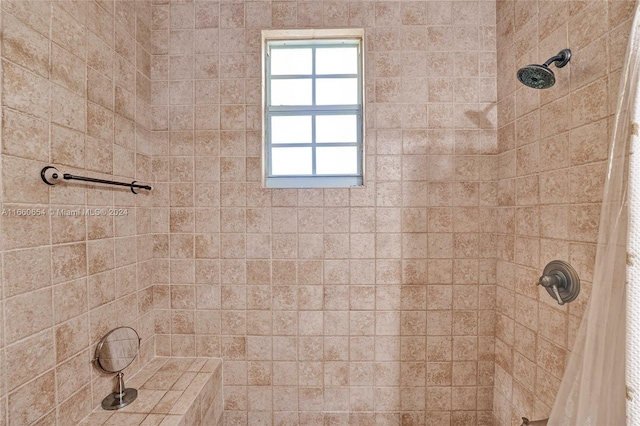 bathroom featuring curtained shower