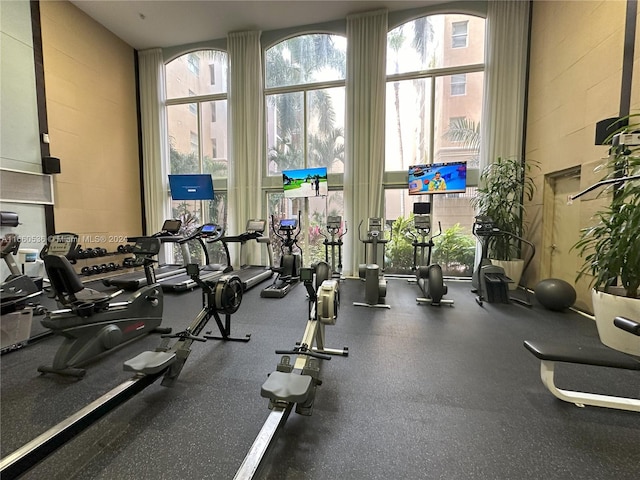 gym featuring a wealth of natural light