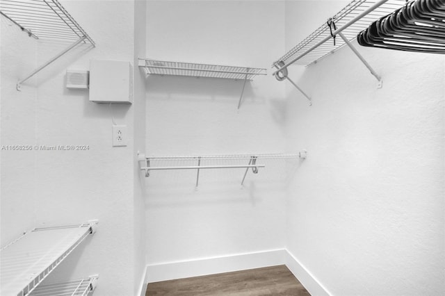 spacious closet featuring hardwood / wood-style floors