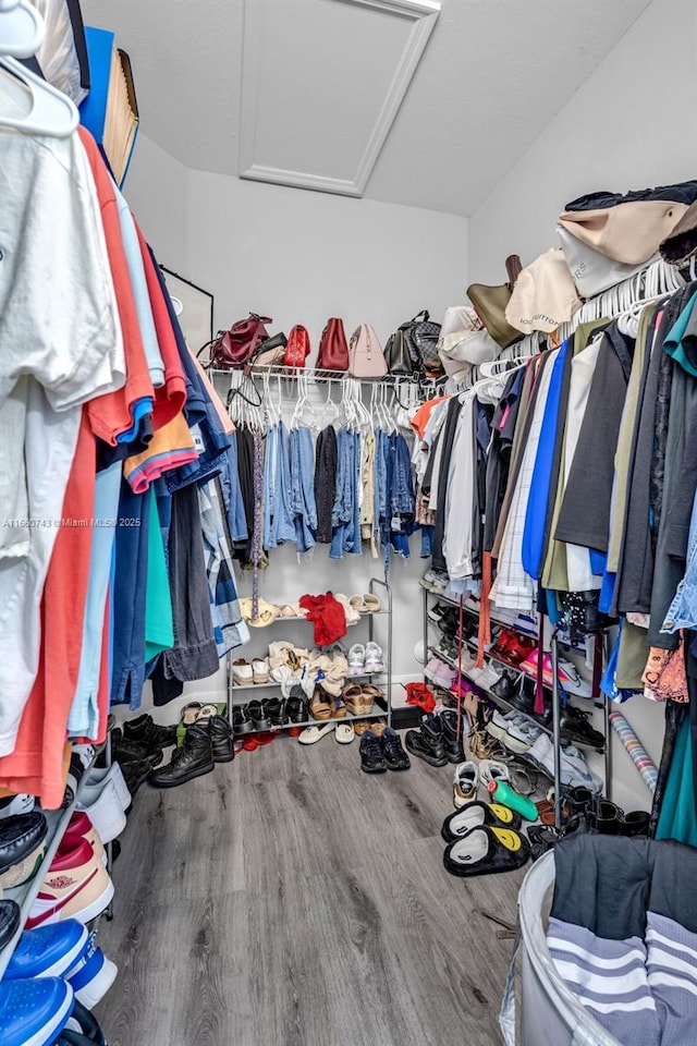 spacious closet featuring hardwood / wood-style floors