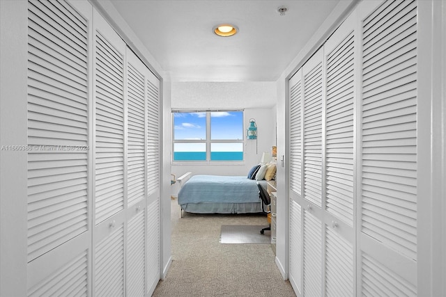 bedroom featuring carpet and a water view