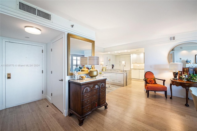 interior space featuring light wood-type flooring and dark brown cabinetry