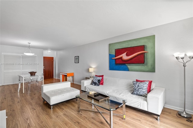 living room featuring hardwood / wood-style flooring