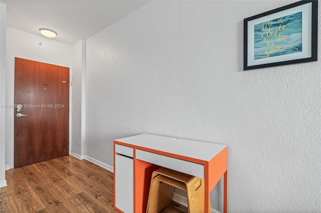 entryway featuring wood-type flooring