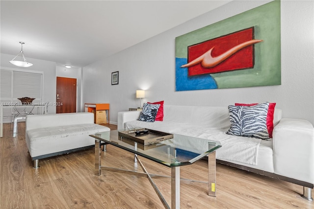 living room with hardwood / wood-style floors