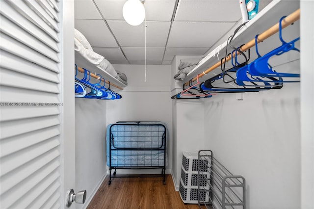 spacious closet with hardwood / wood-style flooring and a drop ceiling