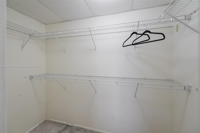 spacious closet featuring a paneled ceiling